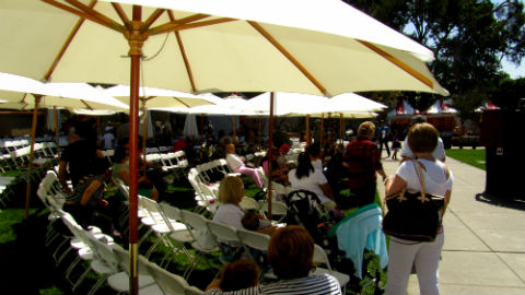 Puppet Show at Festival